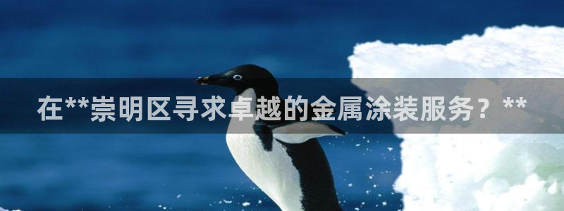 美狮美高梅酒店会员