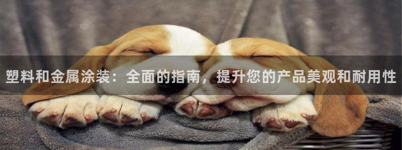 美高梅官网集团