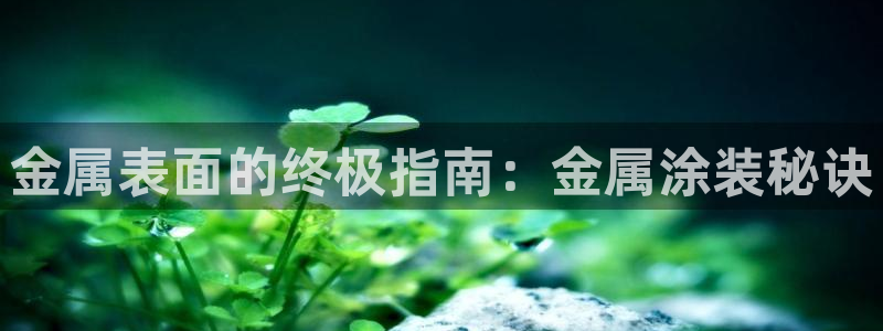 美高梅是何超琼创立的吗