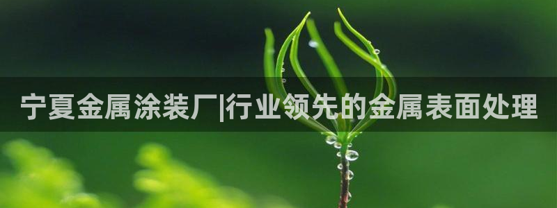 美高梅中国何超琼