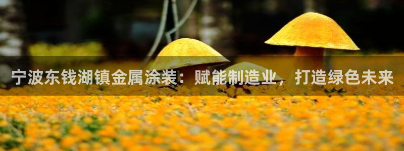 美高梅1000万筹码兑换人民币