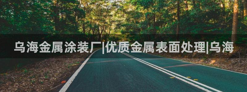 美高梅偶遇何超琼