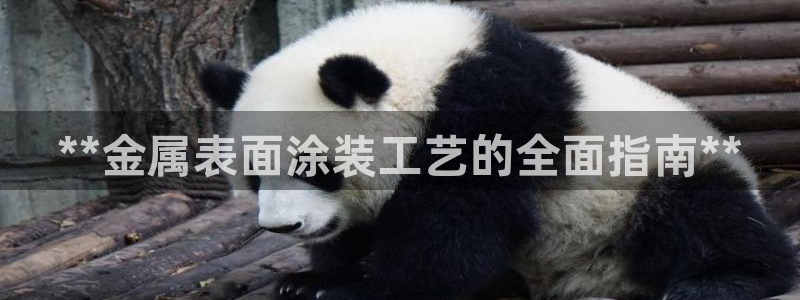 美高梅酒店如何升级