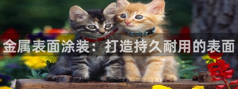 美高梅酒店会员卡级别