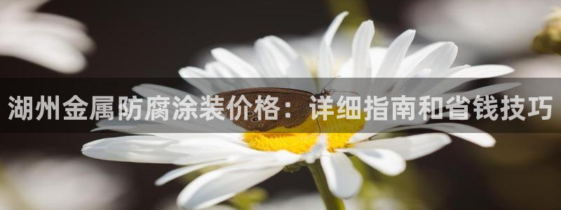 美高梅酒店是谁的