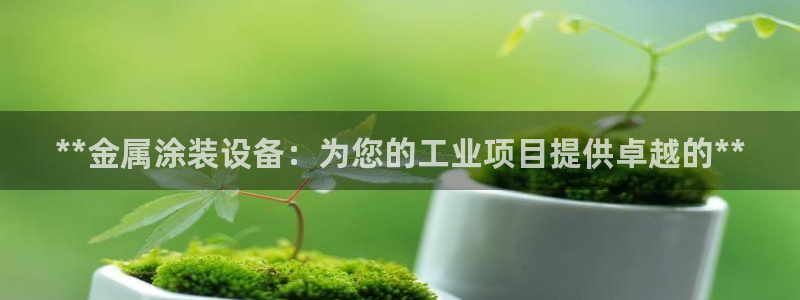 美高梅是哪个国家的品牌