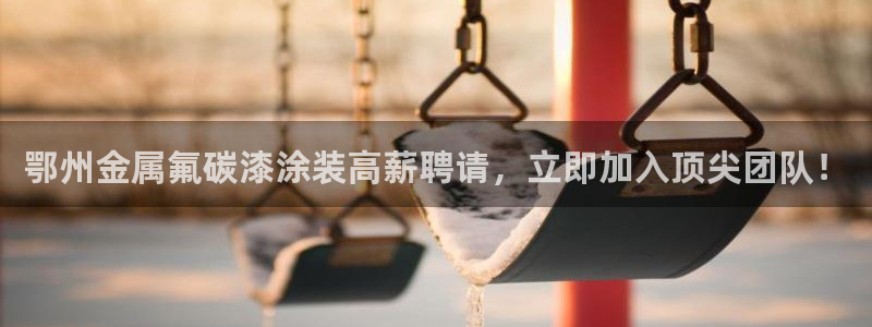 美高梅控股有限公司