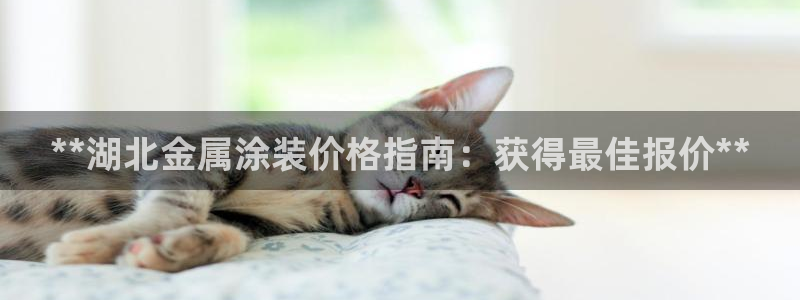 美高梅酒店哪个城市