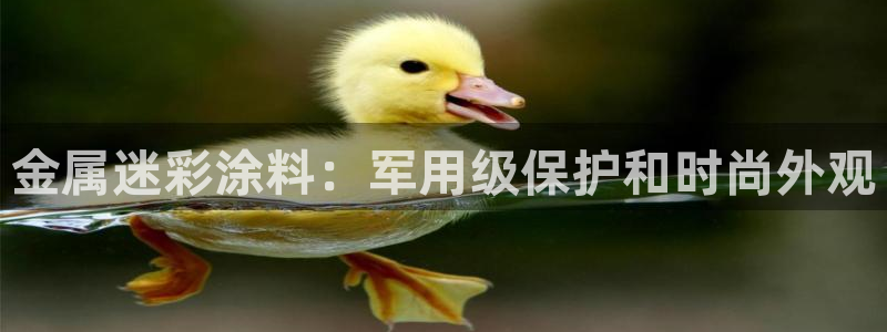 美高梅何超琼年薪
