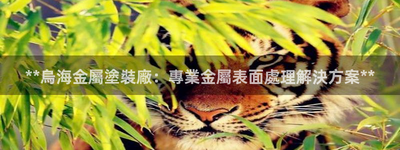 美高梅是谁开的?