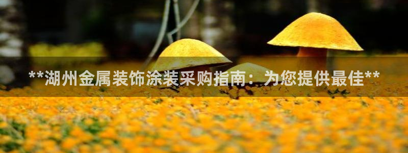 美狮美高梅酒店五行属什么