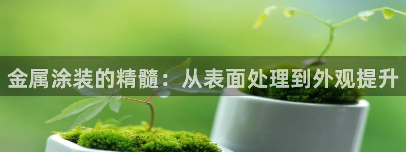 美高梅酒店客服热线