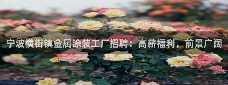 美高梅尊贵卡值多少钱
