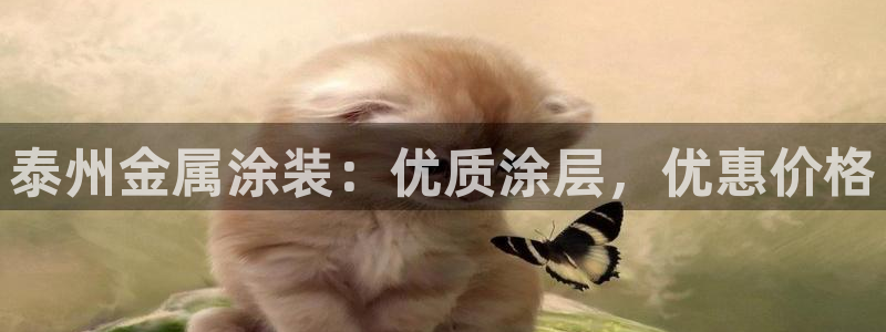 美高梅国际酒店集团介绍