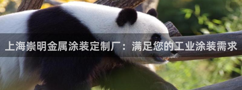 美狮美高梅酒店会员