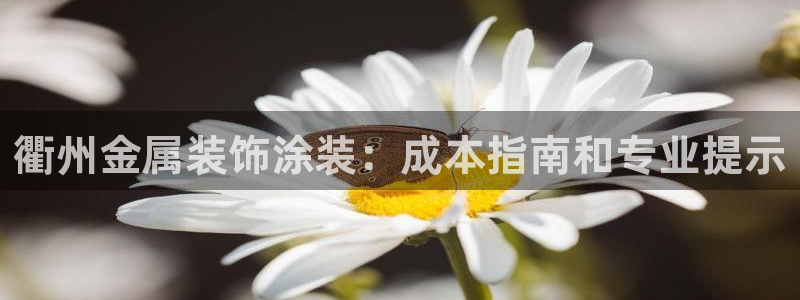 美高梅飞鱼表演