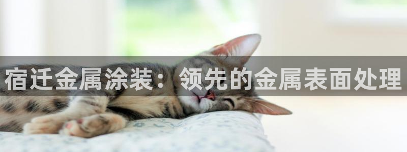美高梅挨黑了客服说什么