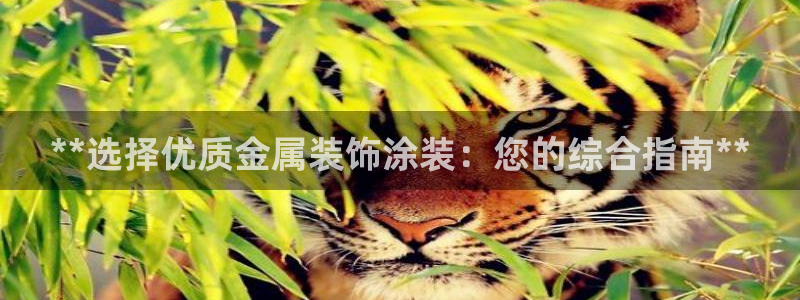 美高梅酒店的包可以拿走吗