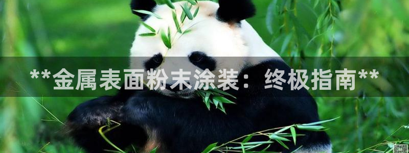 美高梅酒店开业时间