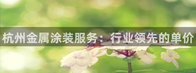 美狮美高梅酒店英文