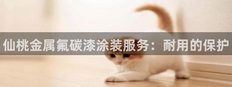 美高梅是哪个酒店集团
