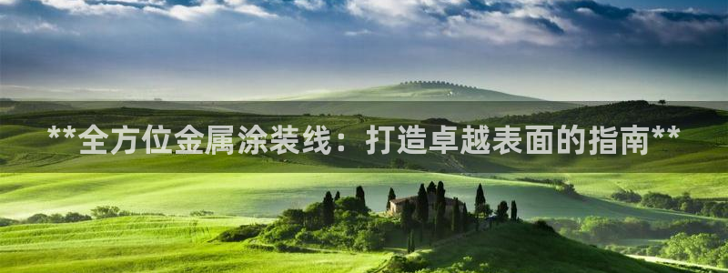 美高梅公司全称是什么