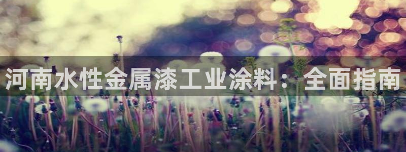 美高梅酒店表演