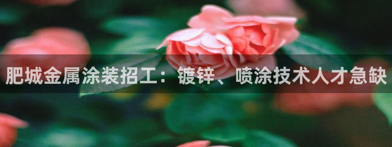 美狮美高梅酒店英语