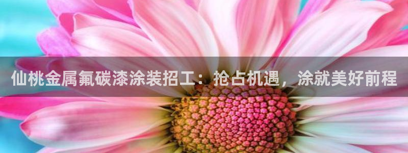 美高梅股票中国毛利率