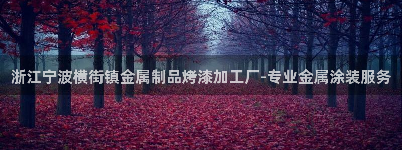 美高梅酒店澳门照片