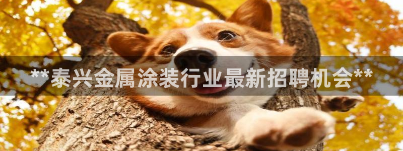 美狮美高梅有什么品牌