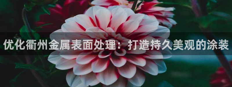 美高梅股票今天怎么了