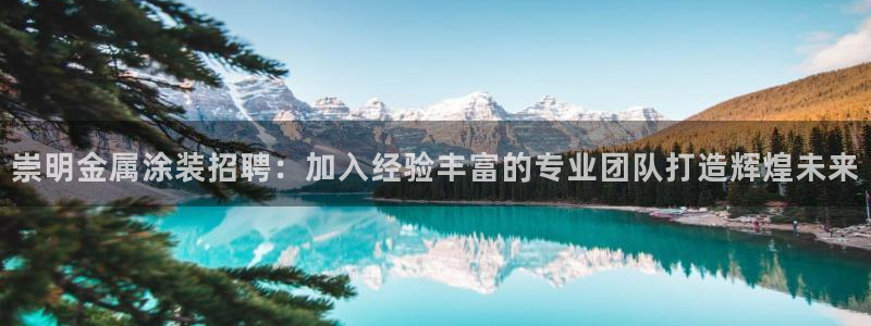 美高梅空中海洋秀到底在哪个地方
