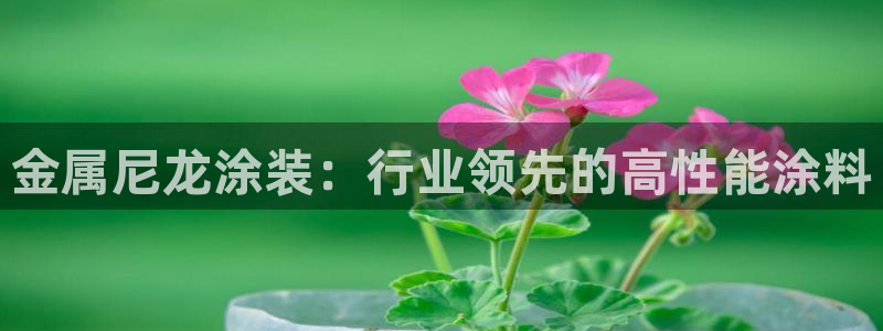 美高梅酒店青岛自助