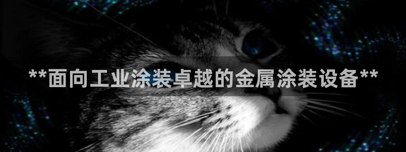 何超琼美高梅国际集团
