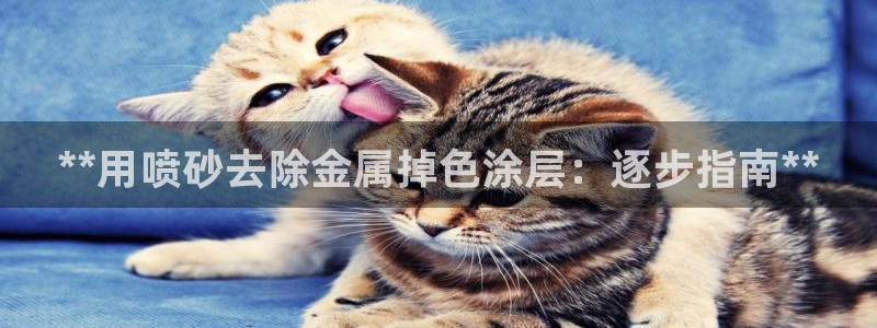 美高梅VIP等级