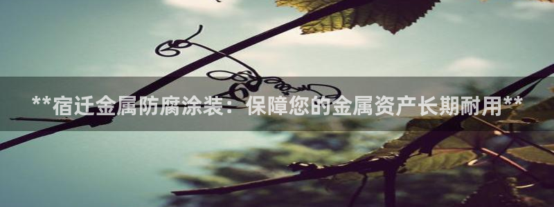美狮美高梅商场