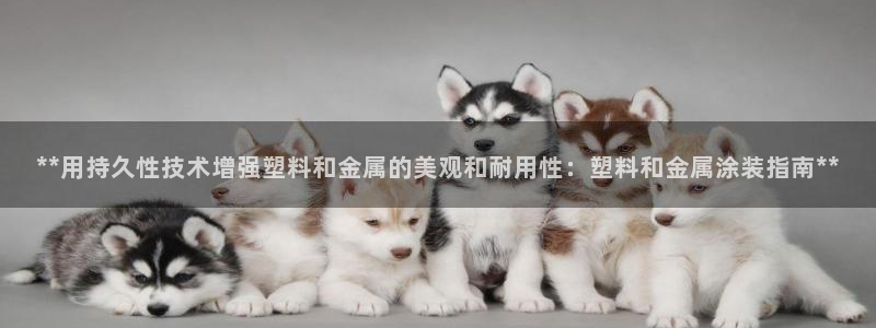美高梅认养大熊猫