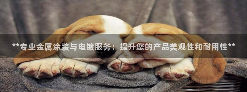 美高梅黑我钱怎么办