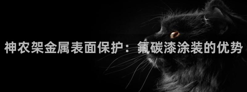 美高梅酒店logo