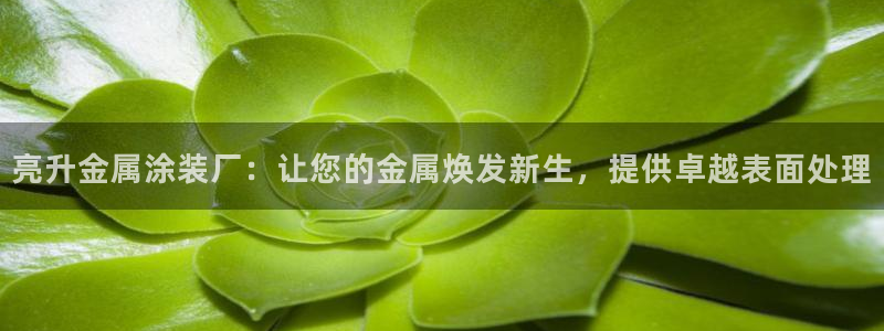美高梅酒店北京店地址
