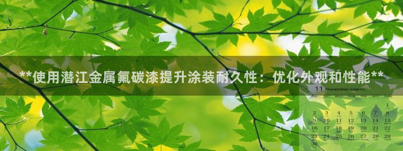 美高梅狮王会员卡