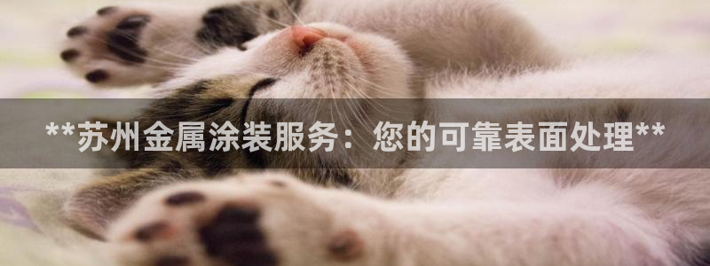 美高梅筹码最低多少钱一个