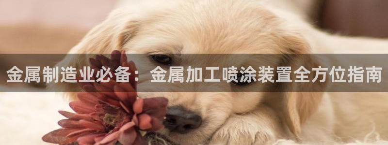 美高梅中国区总裁