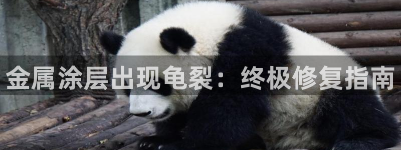 美高梅酒店多少层楼高