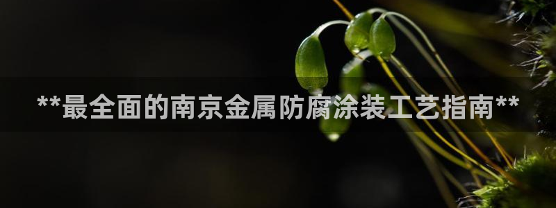 美高梅图片