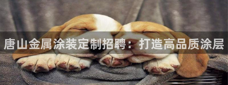 美狮美高梅酒店谢霆锋