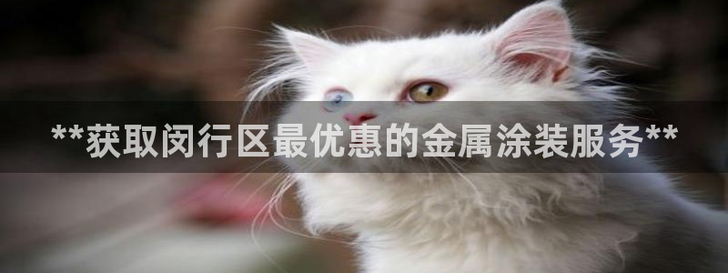 美高梅金狮卡值多少钱