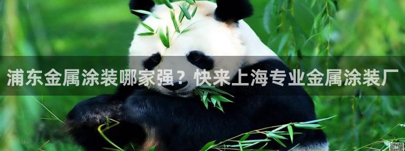 美高梅何超琼香港女首富