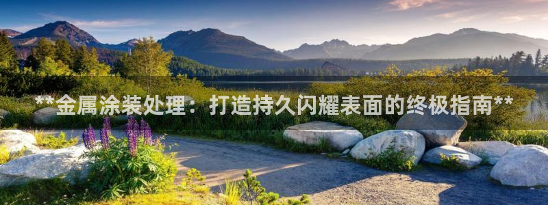 美高梅金卡是什么